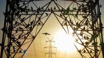 utilities-struggle-to-confront-issue-of-‘phantom’-ai-data-centers