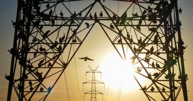 utilities-struggle-to-confront-issue-of-‘phantom’-ai-data-centers