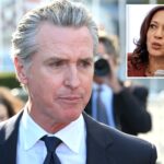gavin-newsom-to-parachute-back-into-new-hampshire-ahead-of-midterm-elections