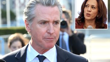 gavin-newsom-to-parachute-back-into-new-hampshire-ahead-of-midterm-elections