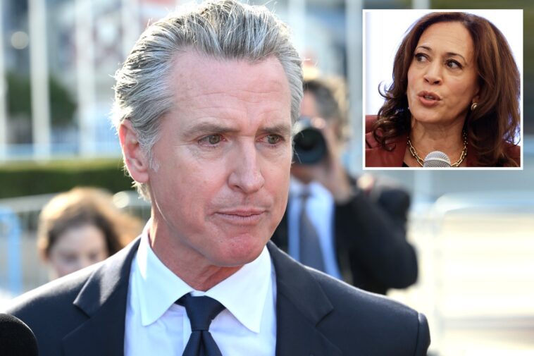 gavin-newsom-to-parachute-back-into-new-hampshire-ahead-of-midterm-elections