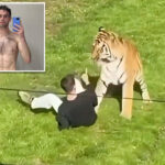 former-child-actor-mauled-to-death-by-tiger-had-‘significant-mental-illness’-and-was-‘prescribed-strong-meds,’-family-says