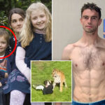 former-child-actor-killed-by-tiger-after-entering-cage-once-starred-alongside-harry-potter-actress