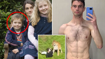 former-child-actor-killed-by-tiger-after-entering-cage-once-starred-alongside-harry-potter-actress