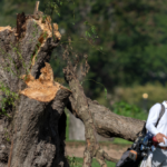 federal-judge-yells-at-trump-officials-after-529-trees-cut-down-at-dc.-golf-course:-‘you-did-your-absolute-worst’