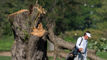 federal-judge-yells-at-trump-officials-after-529-trees-cut-down-at-dc.-golf-course:-‘you-did-your-absolute-worst’