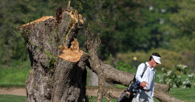 federal-judge-yells-at-trump-officials-after-529-trees-cut-down-at-dc.-golf-course:-‘you-did-your-absolute-worst’