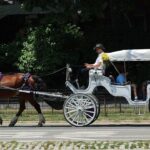 mamdani,-city-council-move-to-end-iconic-nyc-horse-drawn-carriage-industry-as-workers-face-uncertain-future