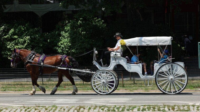 mamdani,-city-council-move-to-end-iconic-nyc-horse-drawn-carriage-industry-as-workers-face-uncertain-future