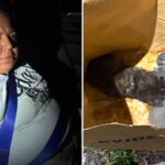 police-save-pair-of-cats-after-wacko-buries-live-kittens-that-she-claimed-are-‘demonic’