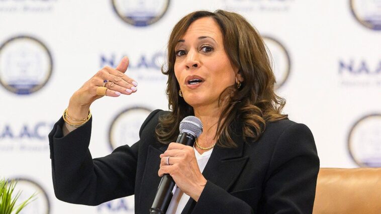 kamala-harris-calls-to-expand-supreme-court,-add-states-if-dems-take-congress