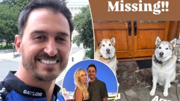 indycar-star-fears-family-dogs-were-dognapped-in-california