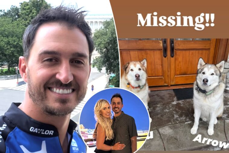 indycar-star-fears-family-dogs-were-dognapped-in-california