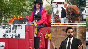 ‘betrayed’-horse-drawn-carriage-drivers-fear-homelessness-as-nyc-moves-to-ban-industry
