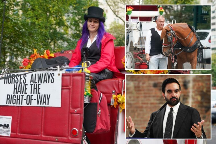 ‘betrayed’-horse-drawn-carriage-drivers-fear-homelessness-as-nyc-moves-to-ban-industry