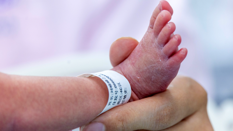 expert-calls-california-‘wild-west’-for-surrogacy-after-couple-charged-with-abusing-surrogate-born-children