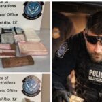 exclusive:-$660k-in-cocaine,-meth-seized-from-drug-mules-at-texas-border-crossing