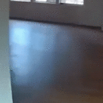 copper-theft-suspect’s-desperate-escape-caught-on-bodycam-video-before-deputies-discover-what-he-left-behind