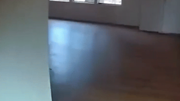 copper-theft-suspect’s-desperate-escape-caught-on-bodycam-video-before-deputies-discover-what-he-left-behind