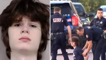 hindu-temple-mass-shooting-thwarted-after-‘sociopathic-white-supremacist’-teen’s-gun-jammed-near-chicago