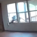 copper-theft-suspect’s-desperate-escape-caught-on-bodycam-video-before-deputies-discover-what-he-left-behind