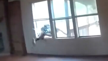 copper-theft-suspect’s-desperate-escape-caught-on-bodycam-video-before-deputies-discover-what-he-left-behind