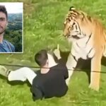 harrowing-new-details-emerge-as-cause-of-death-given-for-former-child-actor-mauled-by-tiger