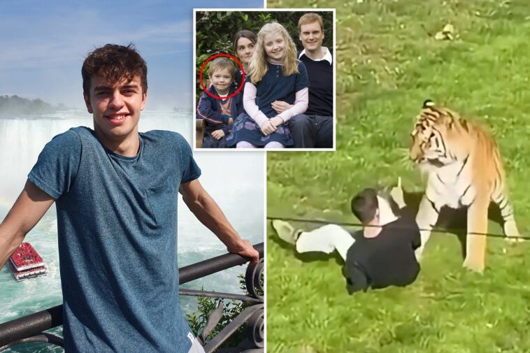 how-the-former-child-actor-killed-by-tiger-managed-to-get-into-enclosure-where-he-was-viciously-mauled