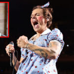 watch:-ny-gop-gov.-candidate-blakeman-tells-harry-styles-to-welcome-gangbanger-shot-by-ice-to-tour-with-him