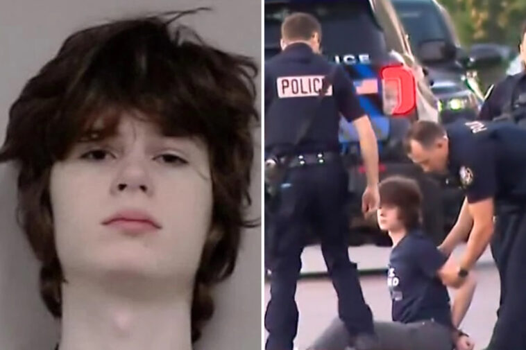 trans-neo-nazi-teen-accused-of-hindu-temple-mass-shooting-plot-will-get-hormone-treatments-in-jail:-judge