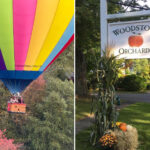 connecticut-orchard-claims-hot-air-balloon-company-has-been-swiping-its-apples-from-the-sky-in-seething-post