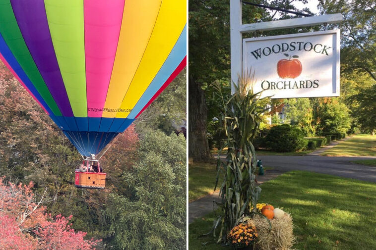 connecticut-orchard-claims-hot-air-balloon-company-has-been-swiping-its-apples-from-the-sky-in-seething-post