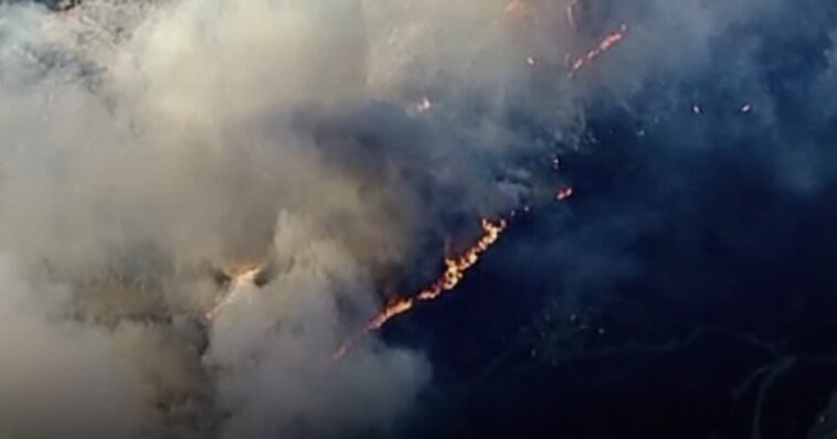 developing:-wildfire-erupts-in-malibu-amid-gusty-santa-ana-winds-(video)
