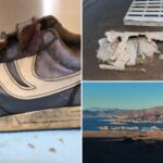 lake-mead-murder-victim-found-in-barrel-in-2022-id’d-—-solving-40-plus-year-cold-case