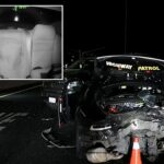 outrageous-moment-sleeping-tesla-driver-gets-rude-awakening-as-he-crashes-into-california-patrol-car