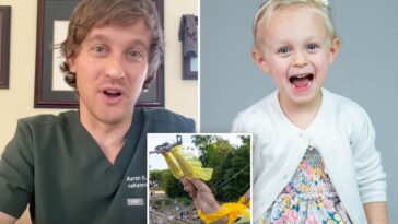 doctor-who-worked-as-trapeze-artists-dies-with-daughter,-3,-in-plane-crash-during-erratic-joyride