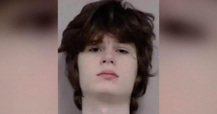transgender-neo-nazi-accused-of-plotting-mass-shooting-at-hindu-temple-in-chicago-suburb-will-receive-gender-transition-hormone-injections-in-jail,-judge-rules