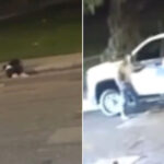 horrific-moment-man-drops-woman-on-socal-street-and-speeds-off-in-white-truck-chilling-video-shows