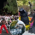 a-cheapskate’s-guide-to-nyc-halloween-fun:-bat-school,-dog-parades-and-‘thriller’-dances