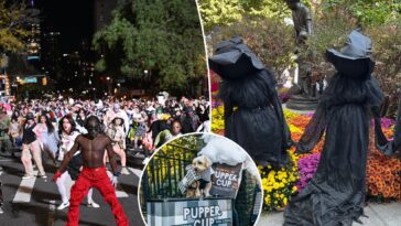 a-cheapskate’s-guide-to-nyc-halloween-fun:-bat-school,-dog-parades-and-‘thriller’-dances