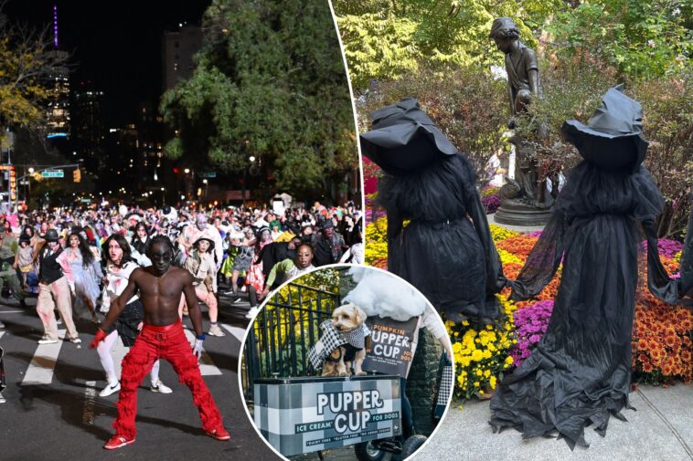 a-cheapskate’s-guide-to-nyc-halloween-fun:-bat-school,-dog-parades-and-‘thriller’-dances