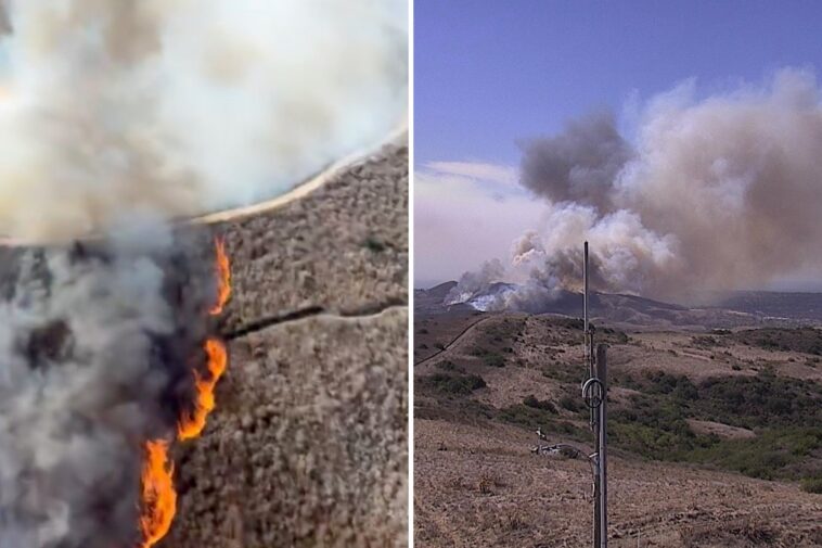 wildfire-races-through-socal-as-structures-threatened-by-wind-fueled-blaze