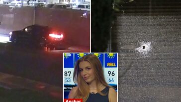 california-newsroom-shooting-suspect-identified-as-she’s-arrested-with-loaded-gun-driving-back-to-tv-station