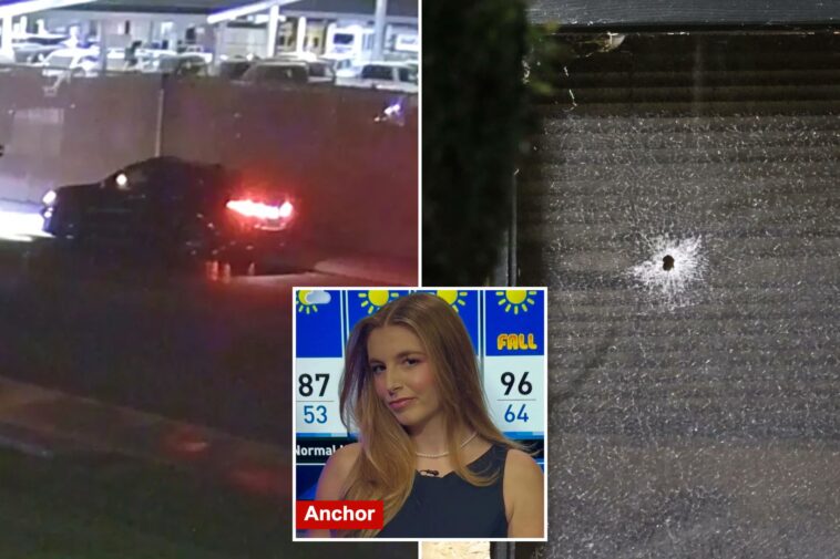california-newsroom-shooting-suspect-identified-as-she’s-arrested-with-loaded-gun-driving-back-to-tv-station