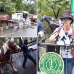 horse-drawn-carriage-drivers-accuse-mamdani,-menin-of-hypocrisy-for-deal-to-ban-industry