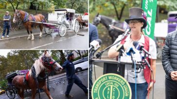 horse-drawn-carriage-drivers-accuse-mamdani,-menin-of-hypocrisy-for-deal-to-ban-industry