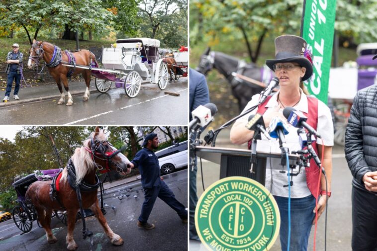 horse-drawn-carriage-drivers-accuse-mamdani,-menin-of-hypocrisy-for-deal-to-ban-industry