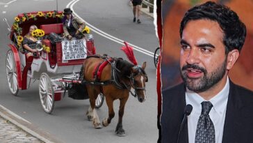 mamdani-accused-of-betraying-nyc-workers-as-union-boss-blasts-‘anti-labor’-horse-carriage-ban