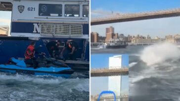 ‘party-pirate’-jet-skiers-make-dramatic-rescue-of-teen-who-jumped-from-brooklyn-bridge