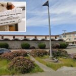election-fraud-fears-as-more-mail-in-ballots-stolen-in-california